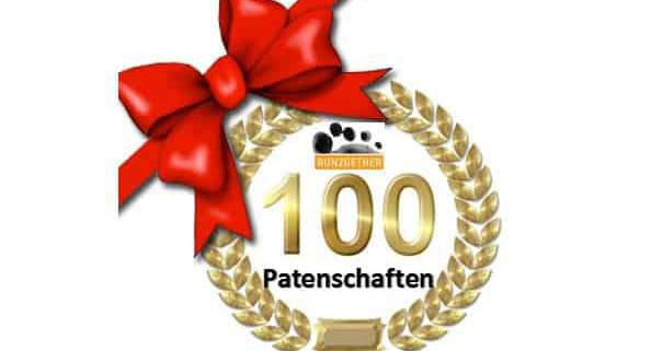 100.  Run2gether Patenschaft 3