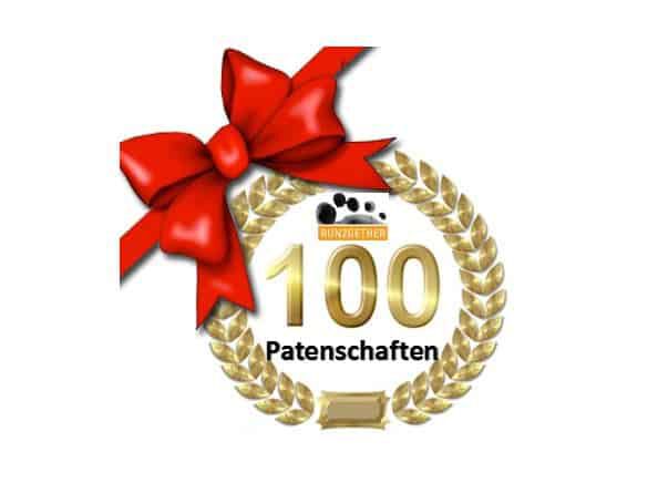 100.  Run2gether Patenschaft 3