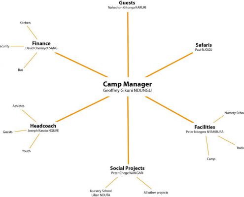 Organization Structure