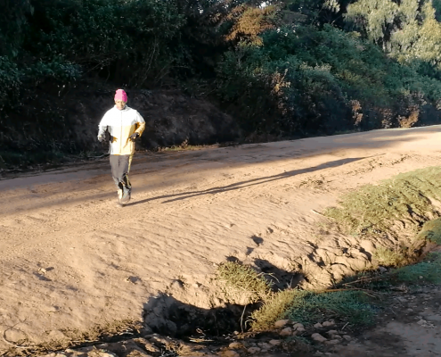 Longrun Steht Am Programm