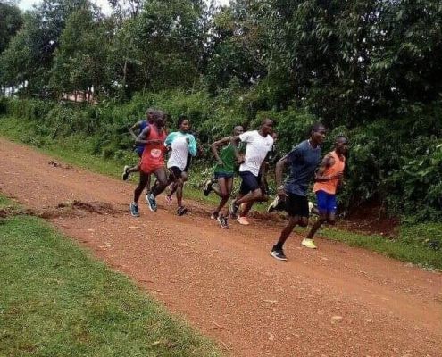 Simba And Friend Push Their Training