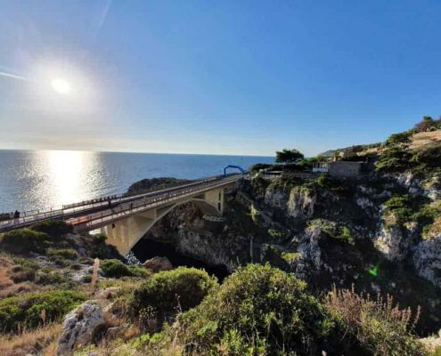 242832486_2089743214527760_5840331703773338734_n 242832486 2089743214527760 5840331703773338734 N