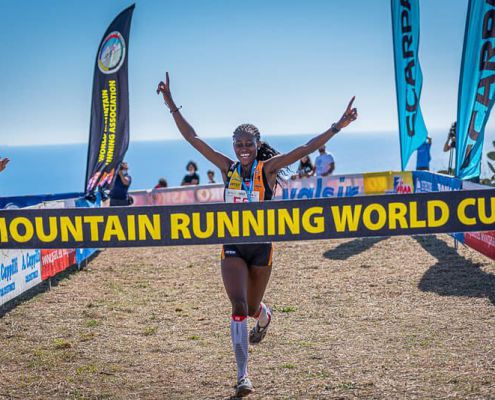 51519804989_66a445b839_c 51519804989 66a445b839 C