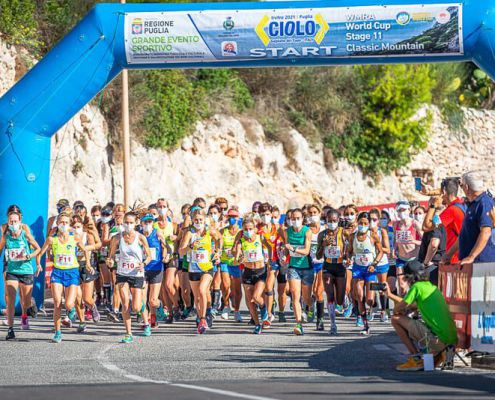 51519807079_56f98fc918_c 51519807079 56f98fc918 C