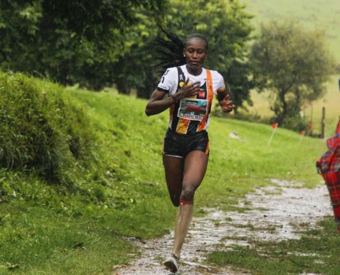 Flysch21 119 Flysch21 119