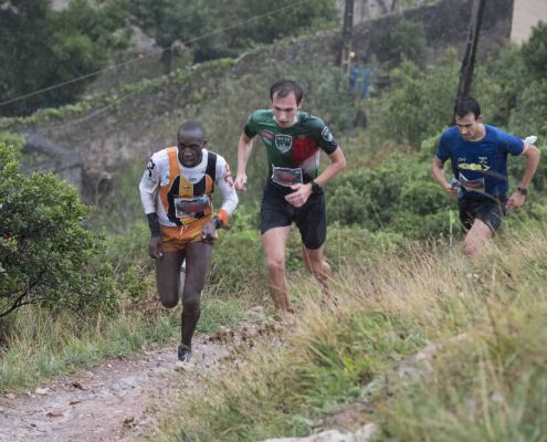 OLYMPUS DIGITAL CAMERA OLYMPUS DIGITAL CAMERA