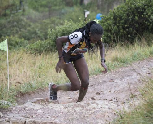 OLYMPUS DIGITAL CAMERA OLYMPUS DIGITAL CAMERA