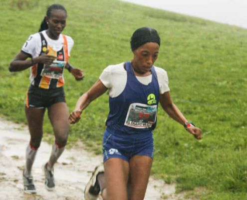 Flysch21 34 Flysch21 34