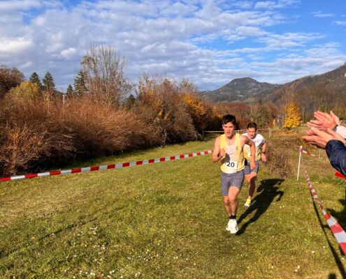 33821fec-68c5-41a6-92bd-34b209571447